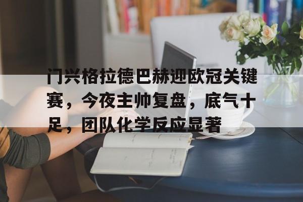 开云-门兴格拉德巴赫迎欧冠关键赛，今夜主帅复盘，底气十足，团队化学反应显著的简单介绍